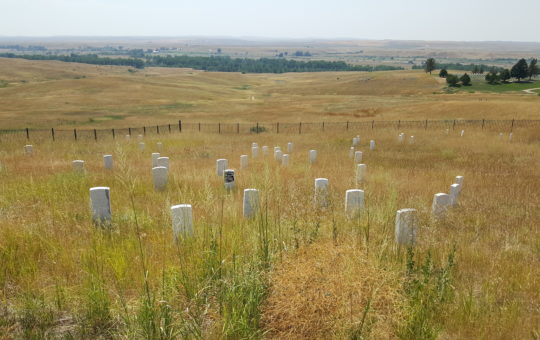 Custer’s Last Stand at Little Bighorn